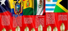 Lanzan campaña “La Copa America y los conflictos por el Agua”